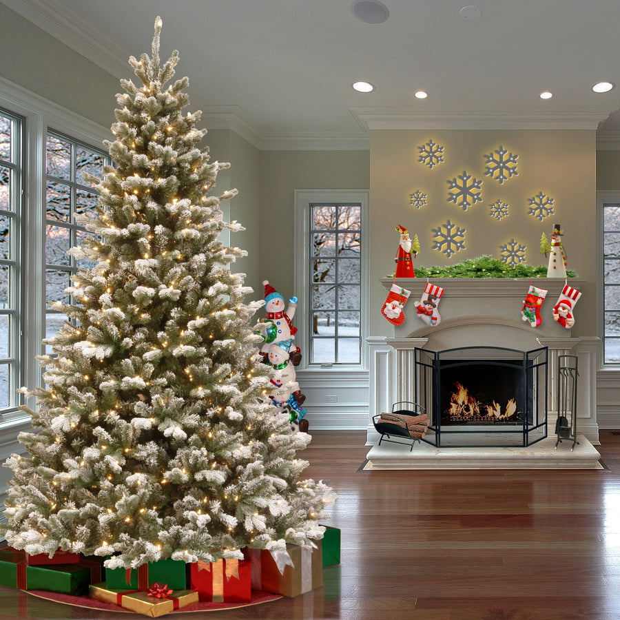 Snowy Sheffield Spruce Collection · National Tree Company
