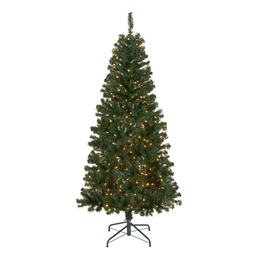 6 ft. Pre-Lit Acacia Tree with Clear Lights - National Tree Company