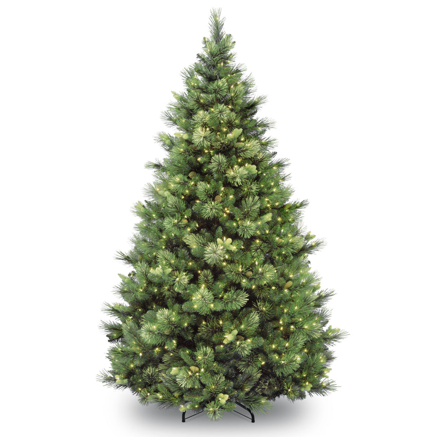 9ft. Pre-Lit Carolina Pine Tree with Clear Lights with 900 Clear Lights - National Tree Company