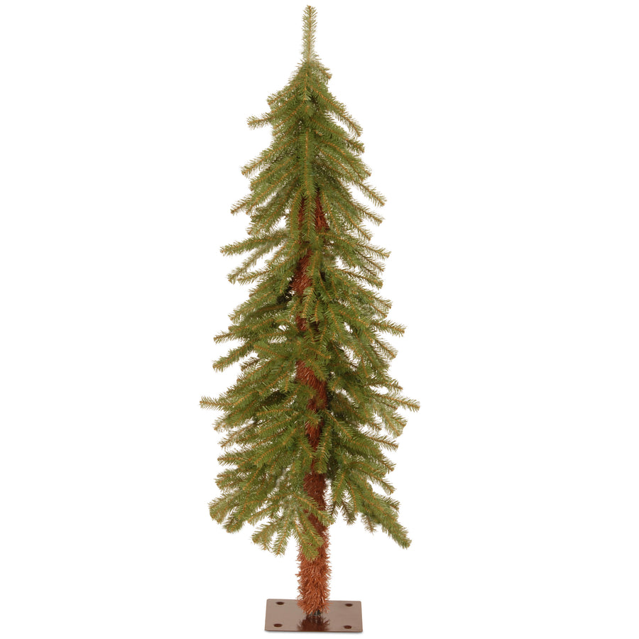 4 ft. Hickory Cedar Tree - National Tree Company