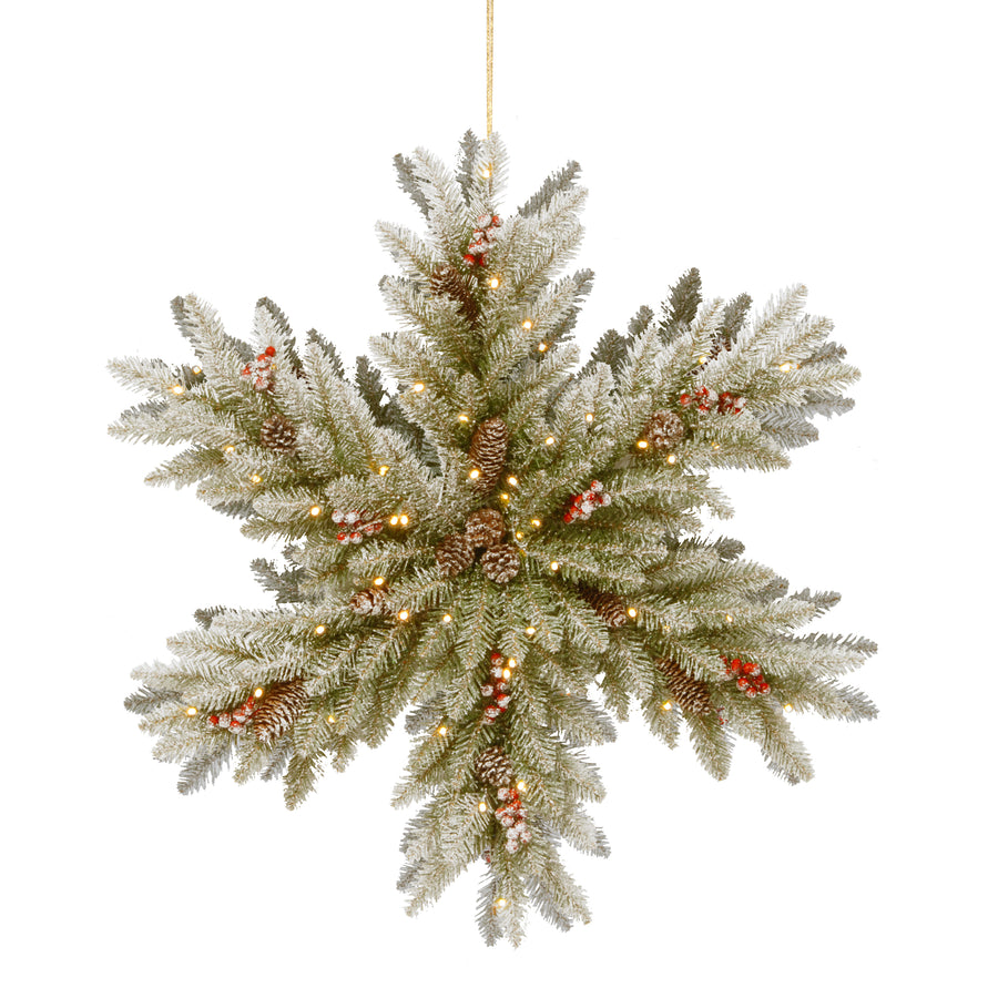 32 in. Pre-Lit Dunhill Fir Double-Sided Flocked Snowflake with LED Lights - National Tree Company
