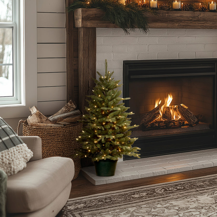 3 ft. Pre-Lit Everyday Collection Tree with Clear Lights