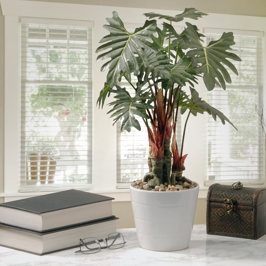 21 in. Spring Potted Philodendron Plant Decoration Garden Accents in Ceramic Pot