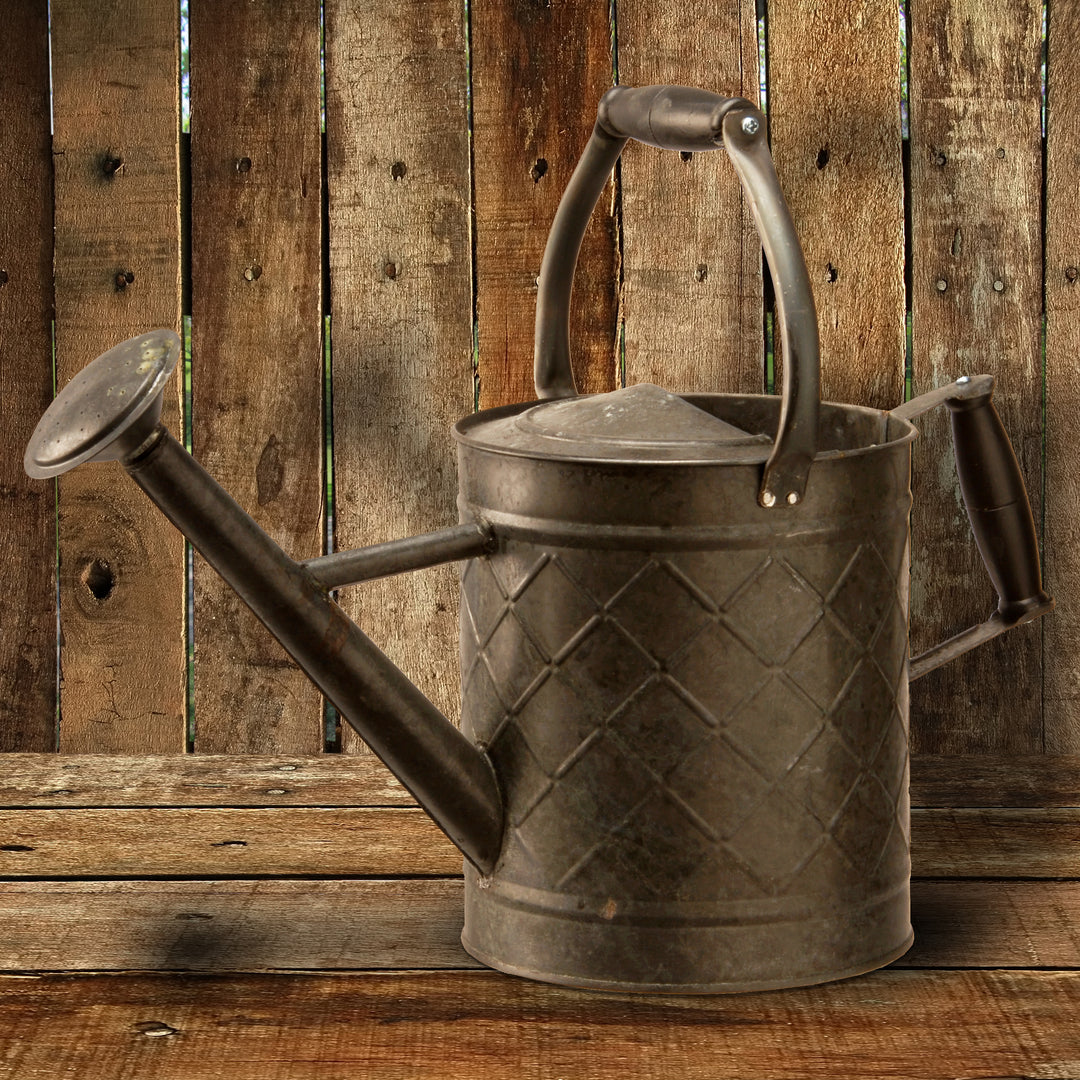 Watering Can, Metal, Antique Black, Spring Collection, 12 Inches