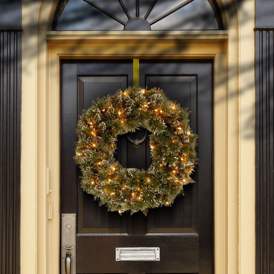 24 in. Pre-Lit Glittery Bristle Pine Wreath with LED Lights