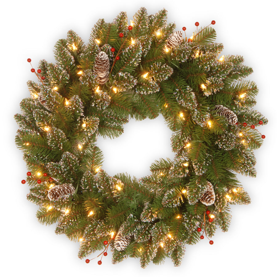 24 in. Pre-Lit Glittery Mountain Spruce with LED Lights - National Tree Company