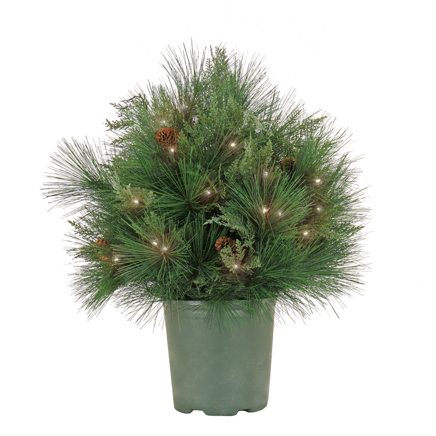 26 in. Pre-Lit HGTV Home Collection Black Tie Planter Filler - National Tree Company
