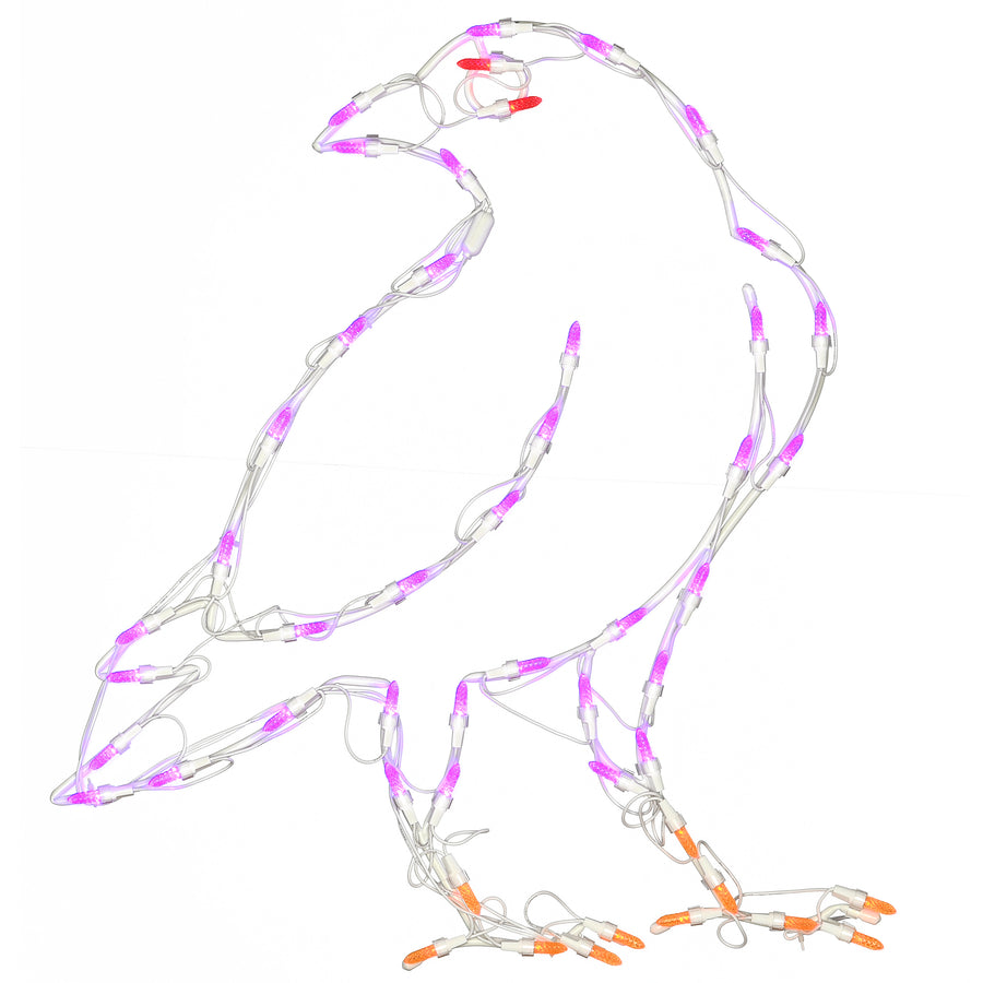 2 ft. Halloween Raven Lighted Sign Decoration with LED Lights - National Tree Company