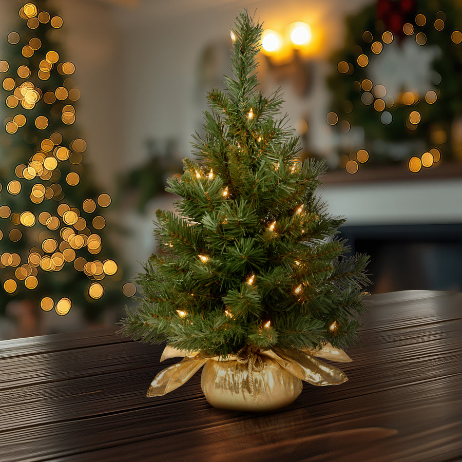 2 ft. Pre-Lit Majestic Fir Tree with Clear Lights, Gold Base