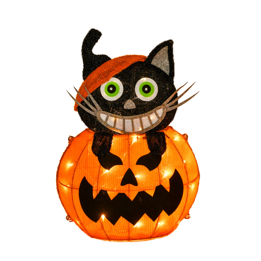 23 in. Halloween Pre-Lit Pumpkin and Black Cat Lighted Sign Decoration with LED Lights - National Tree Company