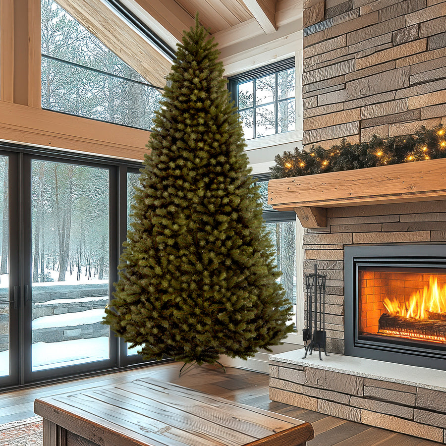 16 ft. North Valley Spruce Tree