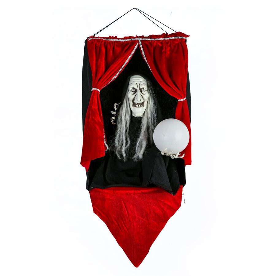 28 in. Halloween Pre-Lit Sound Activated Animated Fortune Teller with LED Lights - National Tree Company