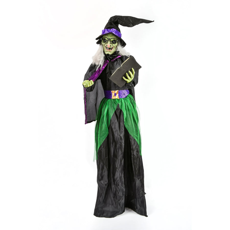 Halloween Pre Lit Animated Wicked Witch, Black, Sound Activated, LED Lights, Battery Operated, 6 Feet - National Tree Company