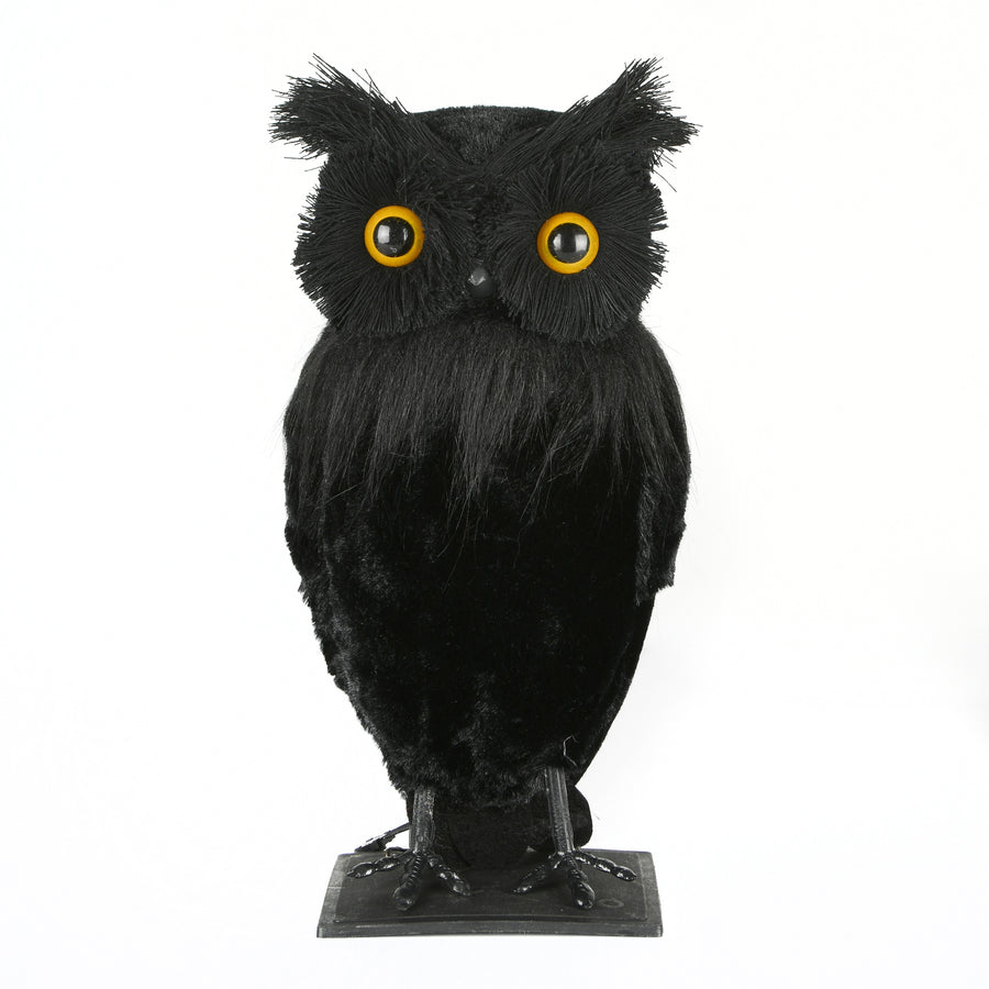 11 in. Halloween Lifelike Owl Tabletop Decoration - National Tree Company