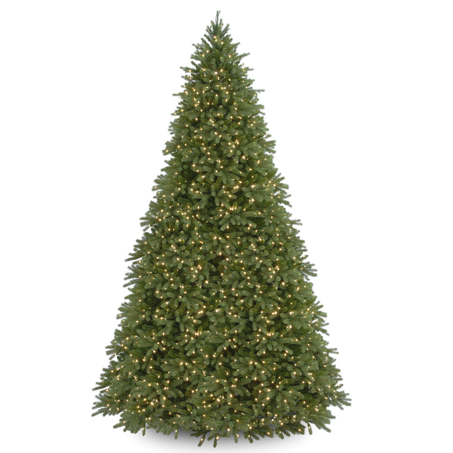 12 ft. Pre-Lit Jersey Fraser Fir Tree with Clear Lights - National Tree Company