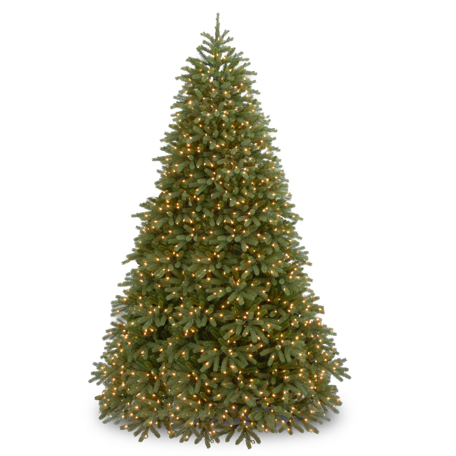 10 ft. Pre-Lit Jersey Fraser Fir Medium Tree with Dual Color LED Lights - National Tree Company