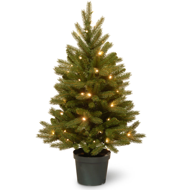 Pre-Lit Artificial Christmas Entrance Tree, Green, Jersey Fraser Fir, 'Feel Real', White LED Lights, Includes Pot Base, 3 Feet