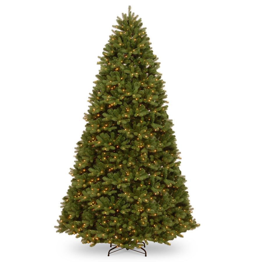 12 ft. Pre-Lit Newberry Spruce Tree with PowerConnect Dual Color LED Lights - National Tree Company