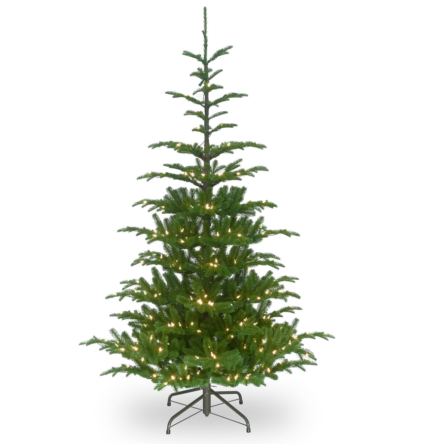 6.5 ft. Pre-Lit Norwegian Spruce Tree with Clear Lights - National Tree Company
