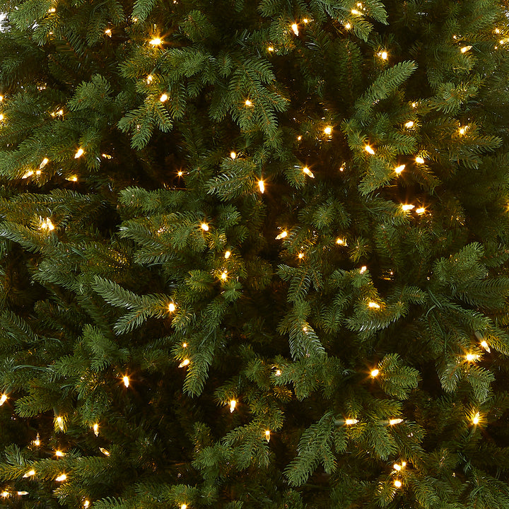 7.5 ft. PowerConnect(TM) Princeton Fraser Fir with Dual Color LED Lights