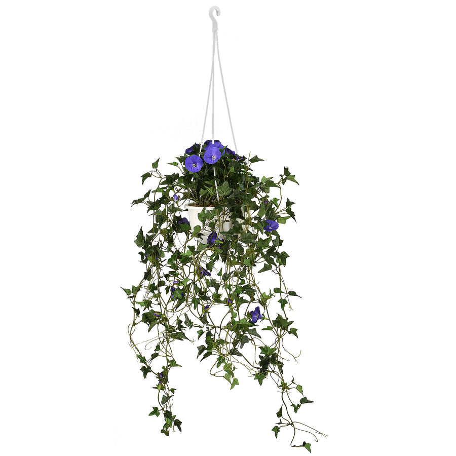 morning glory plant in hanging baskets 44 in. Spring Hanging Plant with Morning Glory Flowers on Leafy Vines · National Tree Company