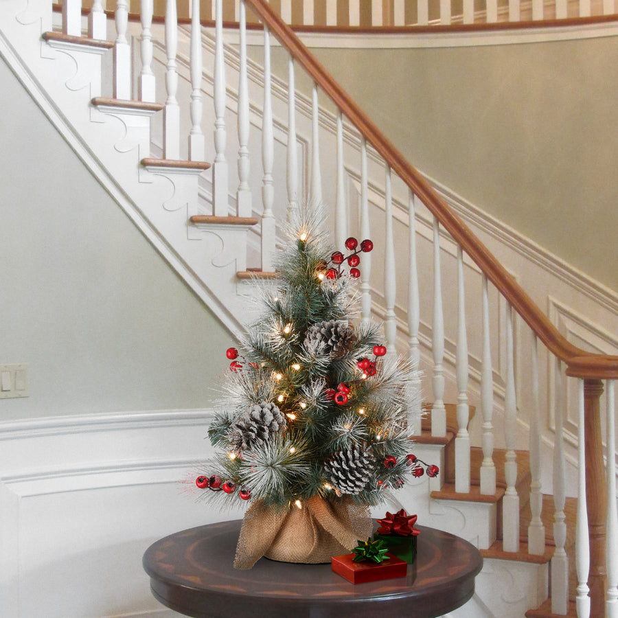 2 ft. Snowy Glacier Pine Tree with Warm White LED Lights