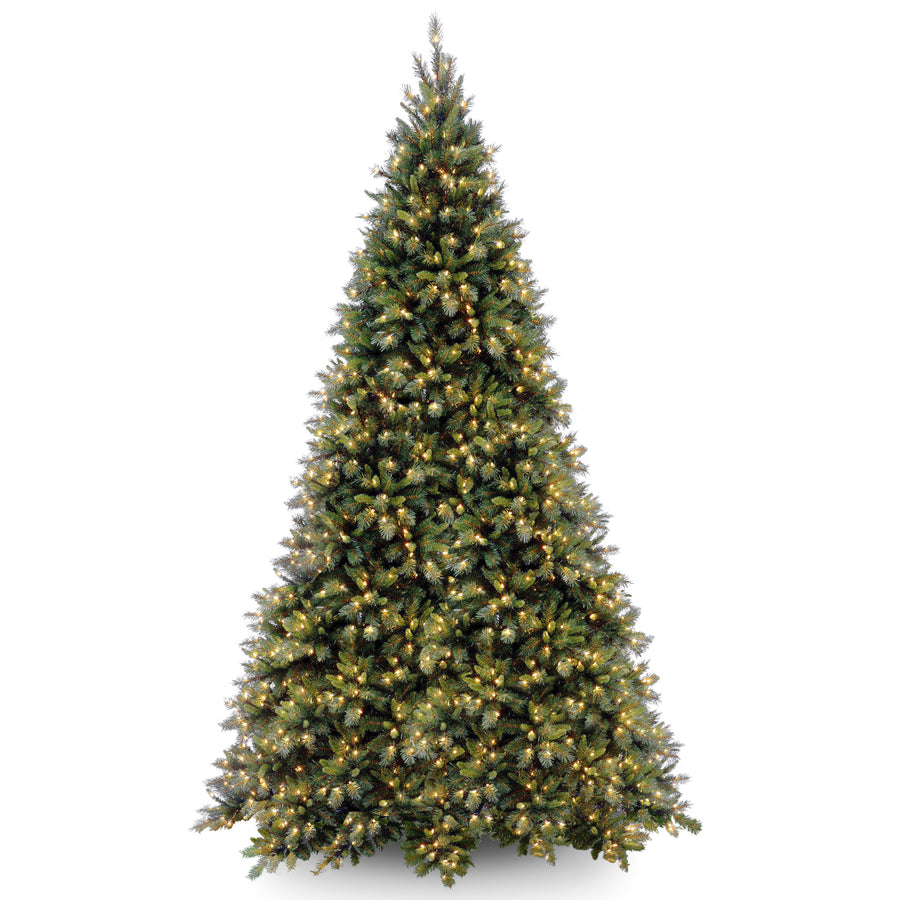 12ft. Pre-Lit Tiffany Medium Fir Hinged Tree with Clear Lights - National Tree Company