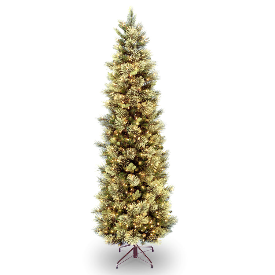 6.5 ft. Pre-Lit Carolina Pine Slim Tree with Clear Lights - National Tree Company