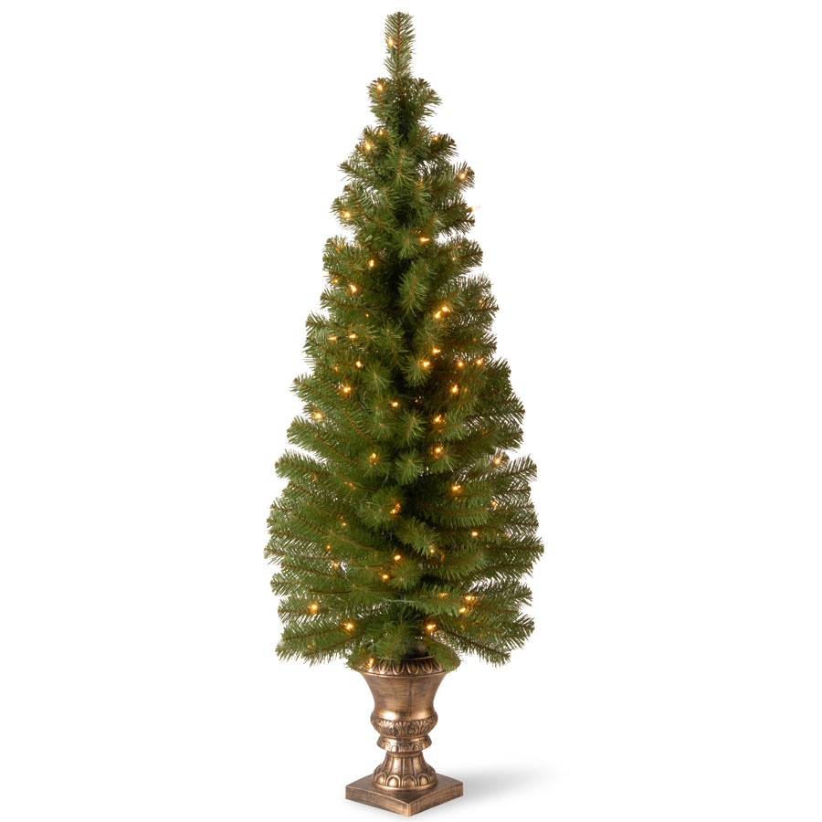 5 ft. Pre-Lit Montclair Spruce Slim Tree with Clear Lights - National Tree Company