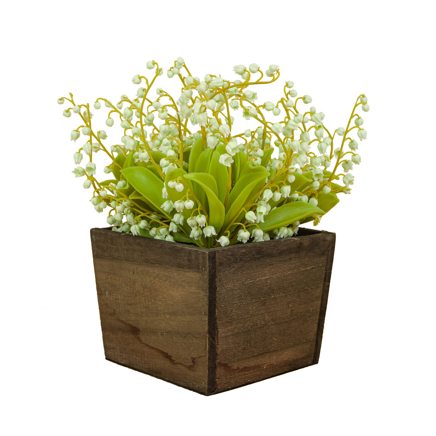 10 in. Spring Green Lily-of-the-Valley Flowers in Wood Box - National Tree Company