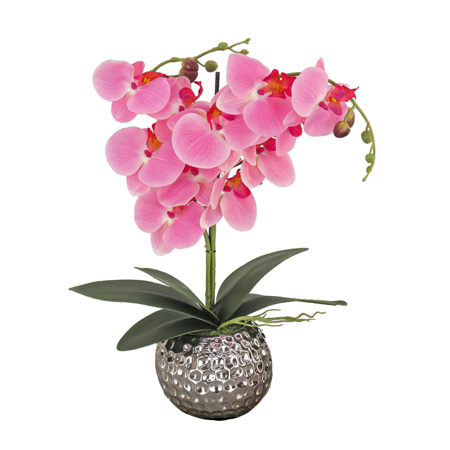 21 in. Spring Pink Orchid in Silver Smooth Ceramic Pot - National Tree Company