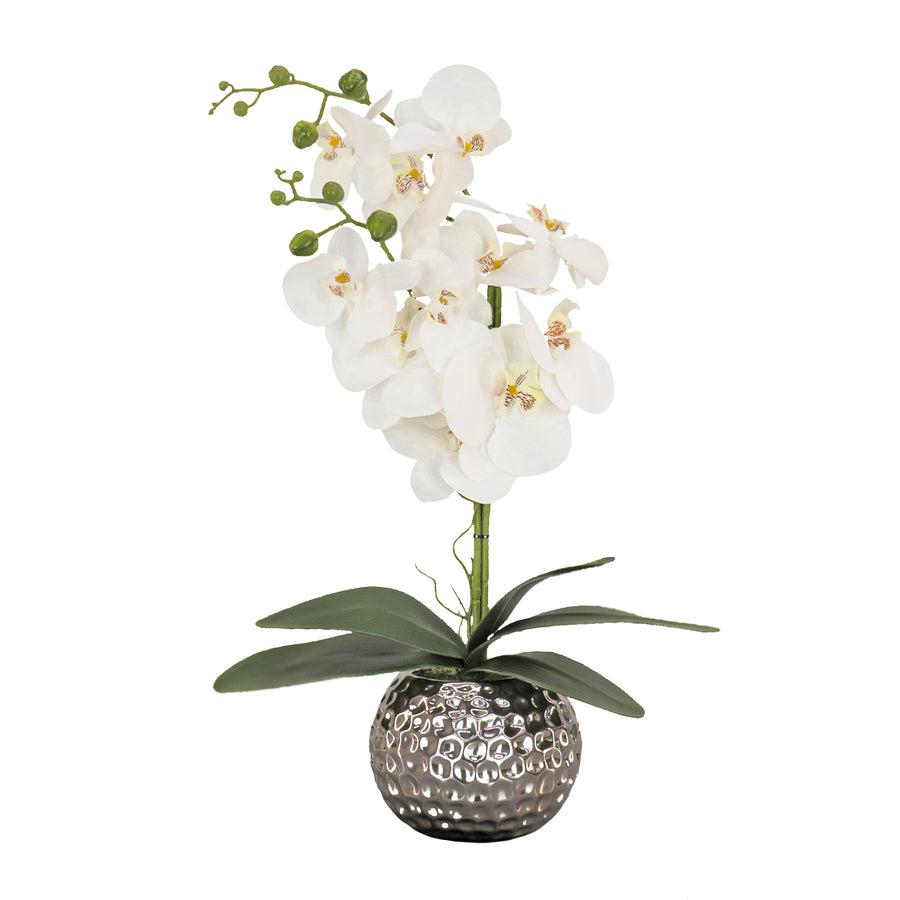 21 in. Spring White Orchid in Silver Smooth Ceramic Pot - National Tree Company