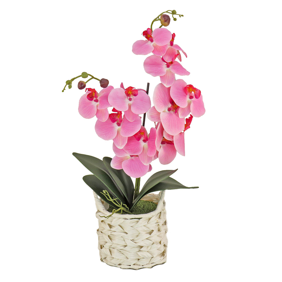 21 in. Spring Pink Orchid in White Basket - National Tree Company