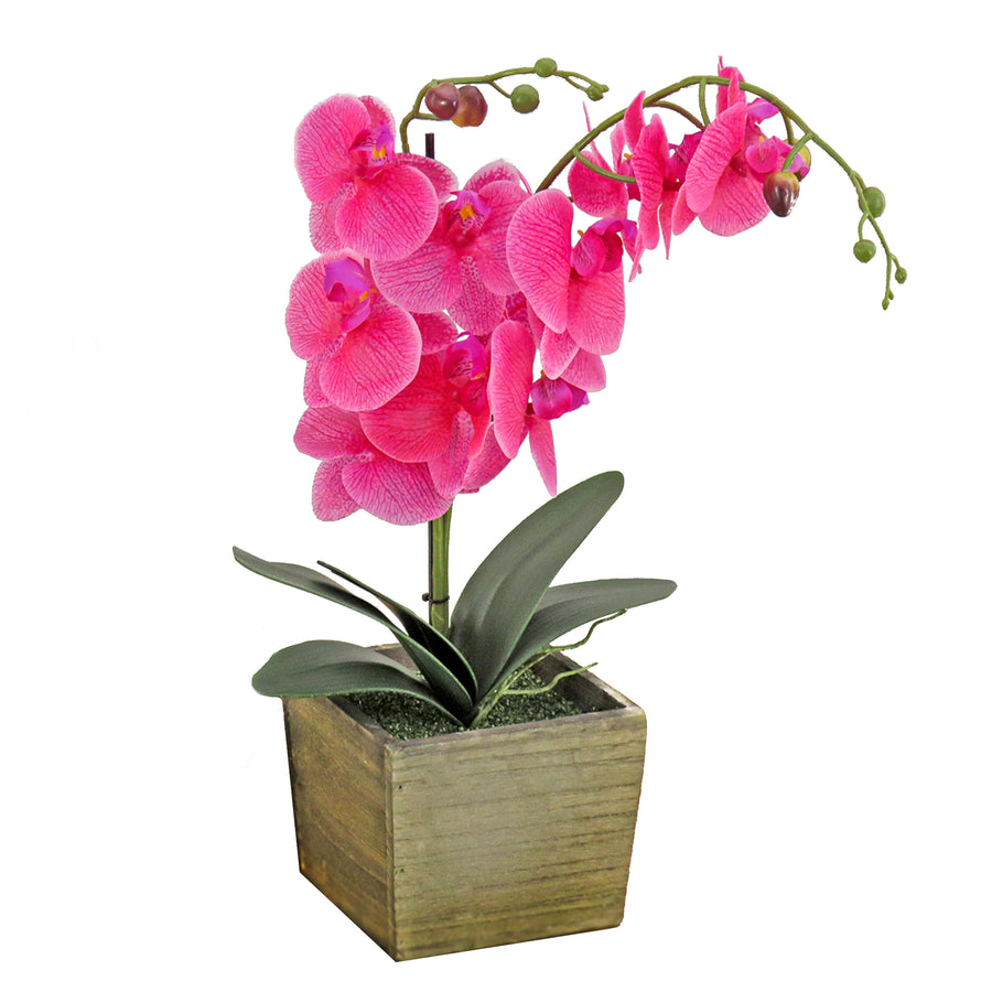 21 in. Spring Purple Orchid Flower in Wood Box - National Tree Company