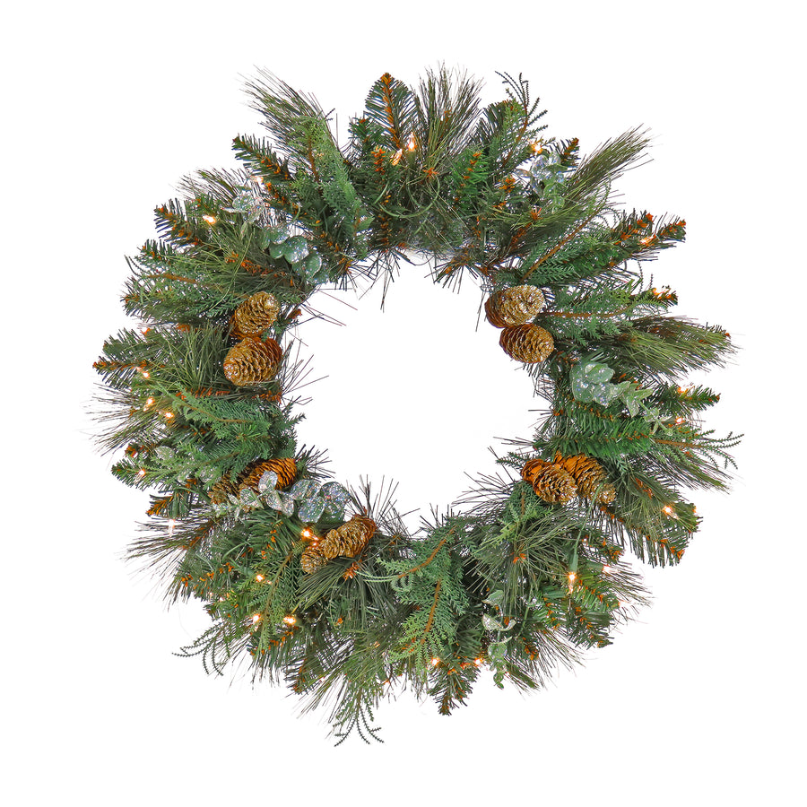 24 in. Pre-Lit North Conway Wreath with Warm White LED Lights - National Tree Company