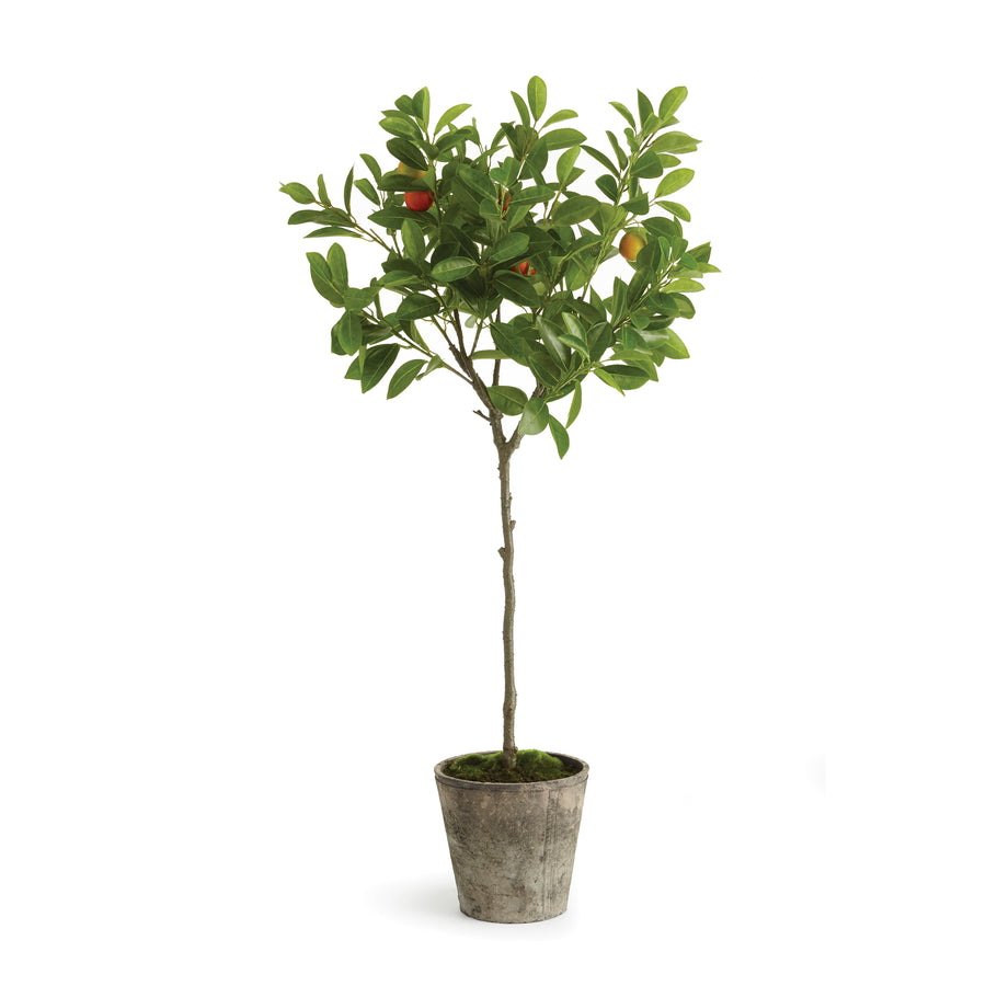 41 in. Potted Orange Topiary Tree - National Tree Company