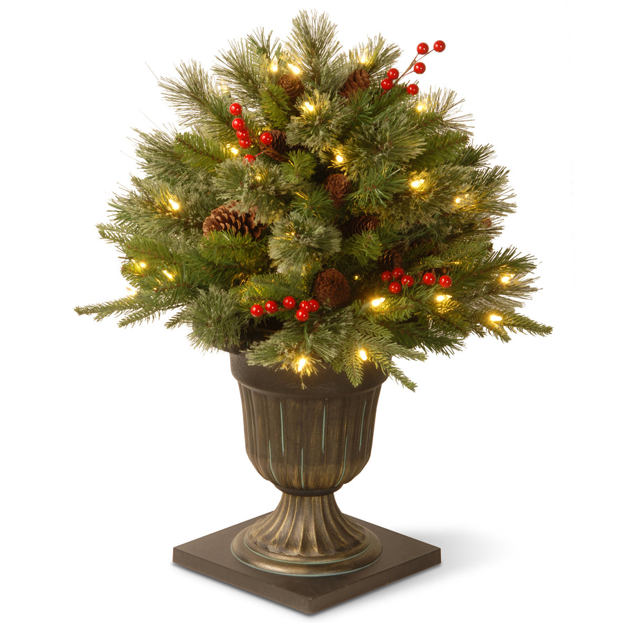 24 in. Colonial Fir Porch Bush with Clear Lights - National Tree Company