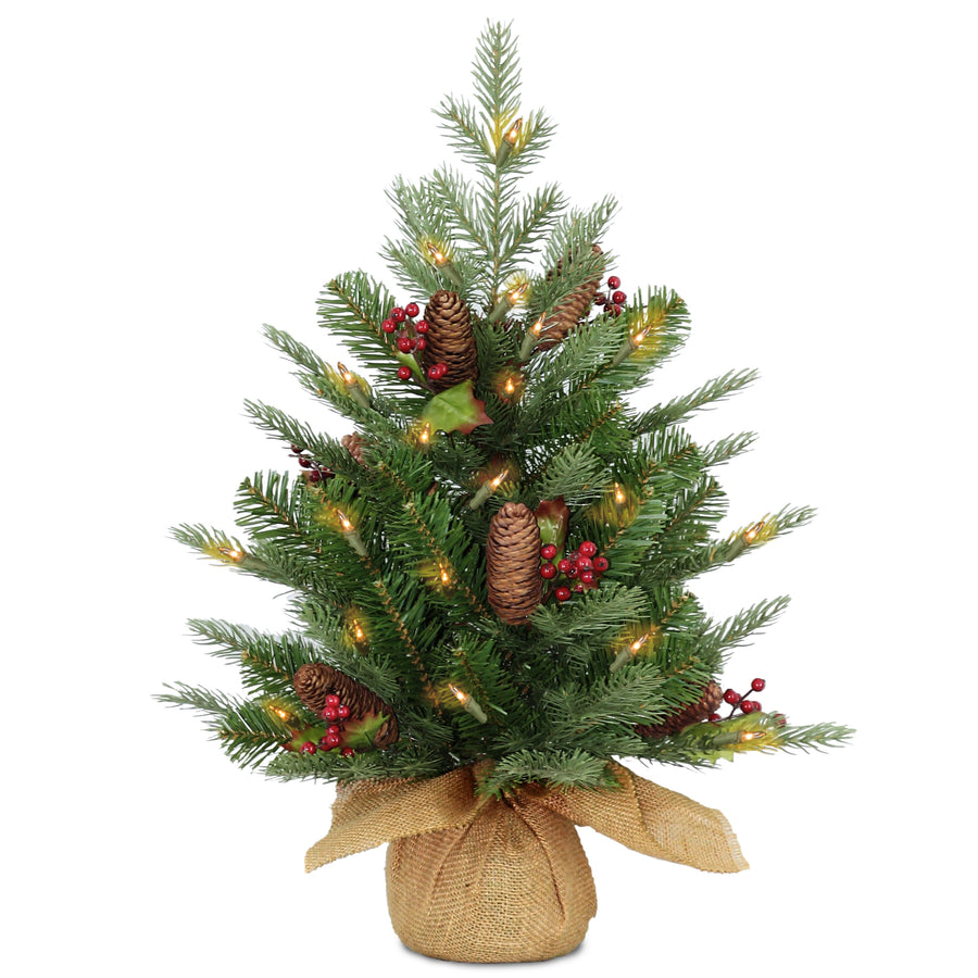 2 ft. Pre-Lit Nordic Spruce Tree with LED Lights - National Tree Company
