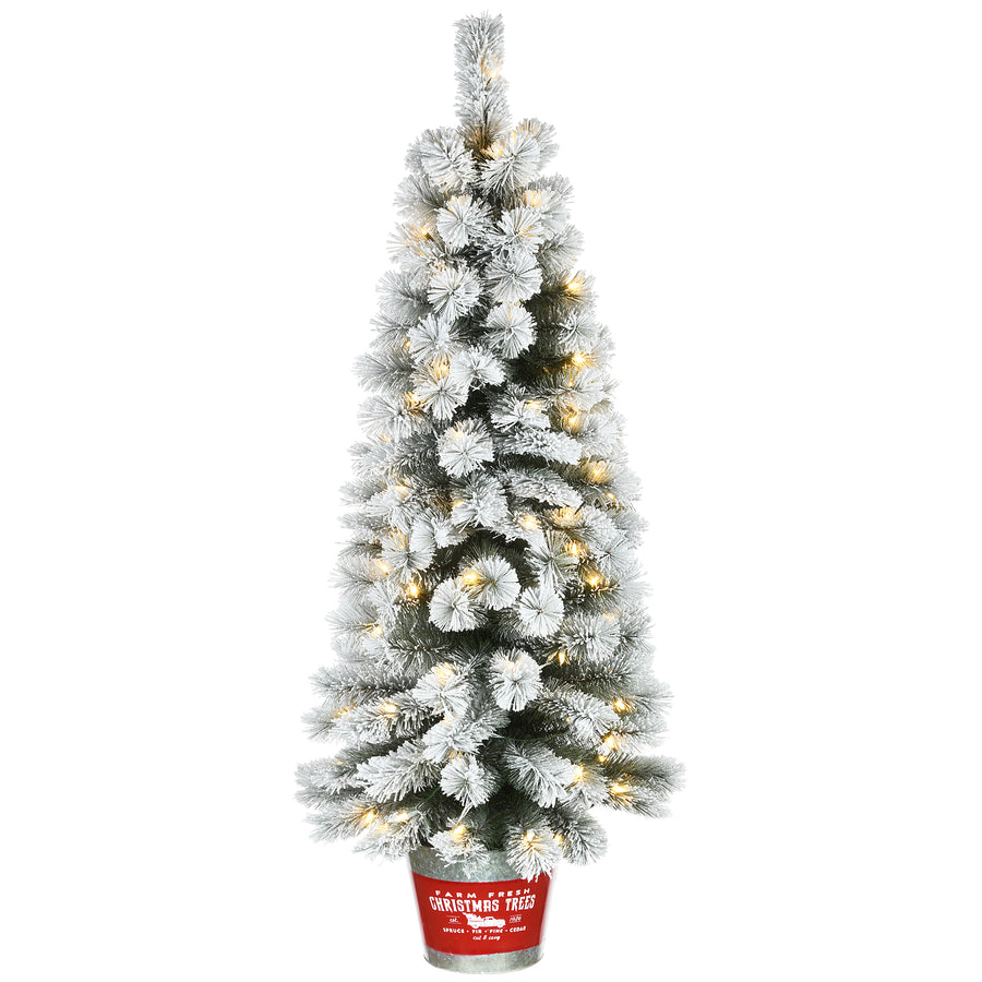 5 ft. Pre-Lit Snowy Pogue Pine Slim Tree with LED Lights - National Tree Company
