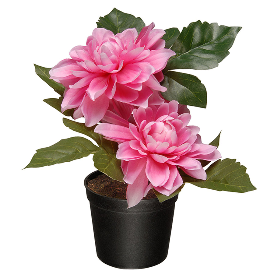 Artificial Potted Flowers, Pink Dahlias, Includes Black Pot Base, Spring Collection, 7 Inches - National Tree Company