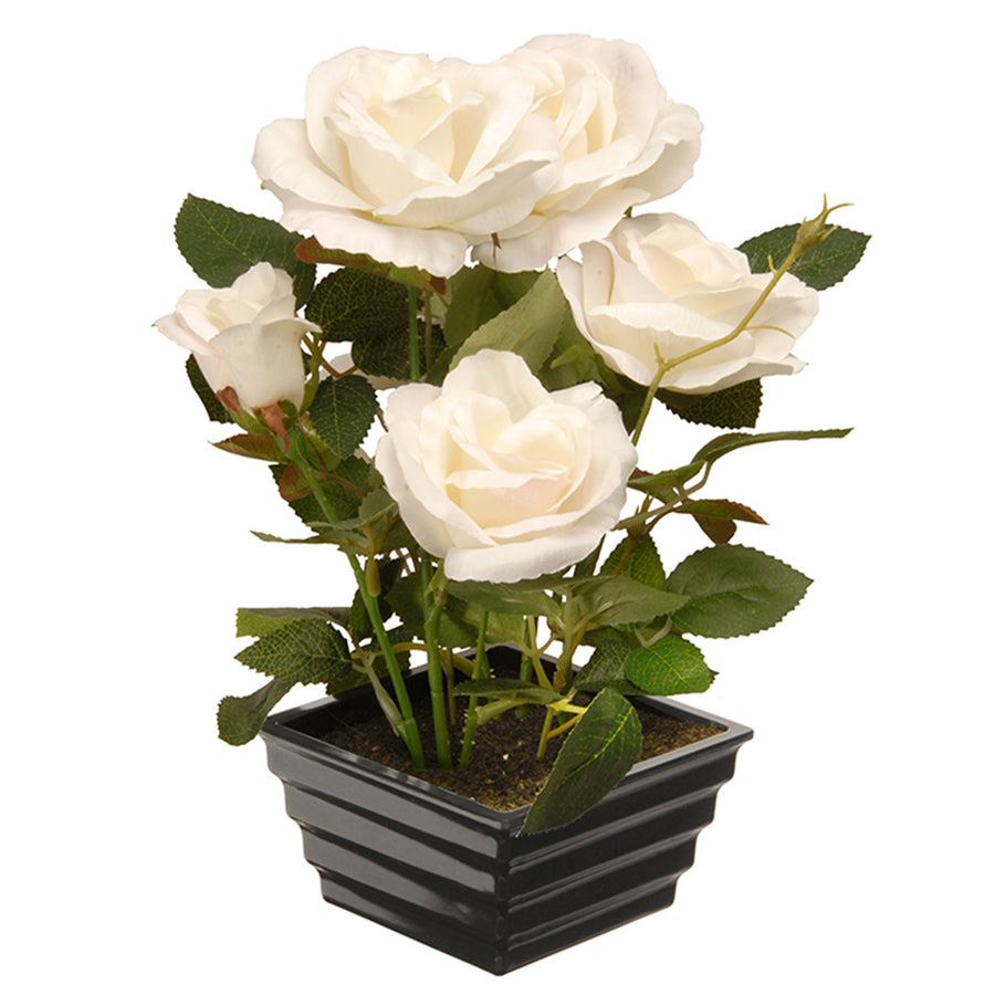 11 in. Spring White Roses Flower Potted Plant in a Black Base - National Tree Company