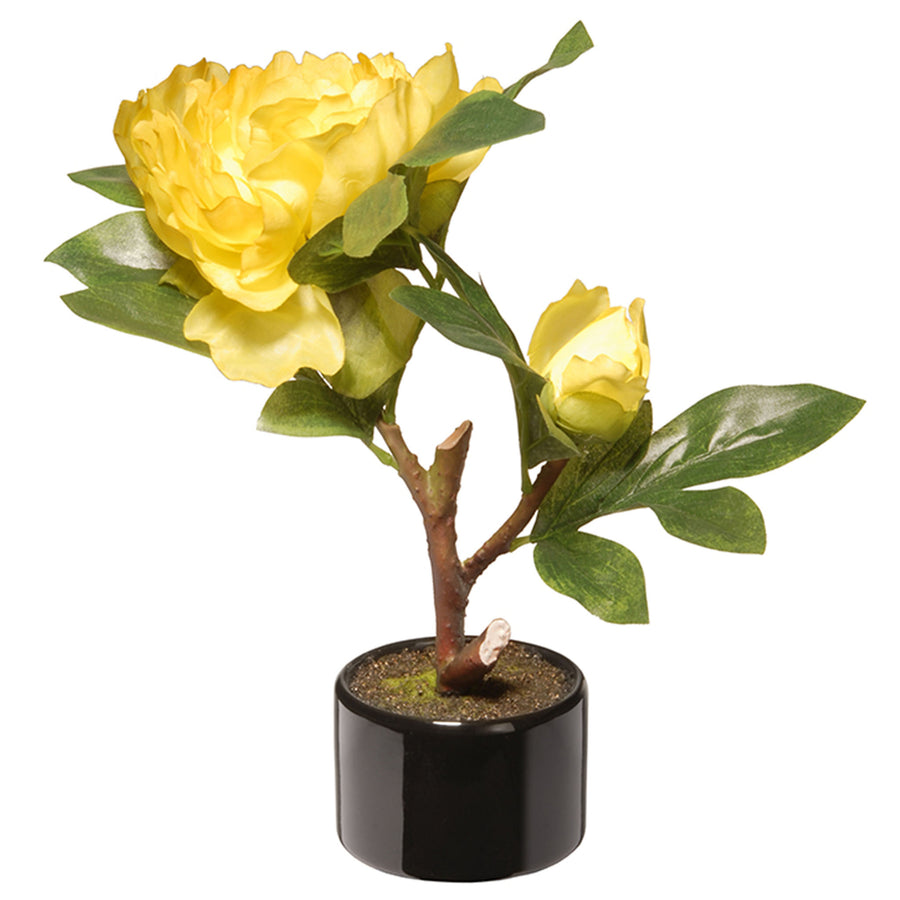 10 in. Spring Yellow Peony Flower Pot - National Tree Company