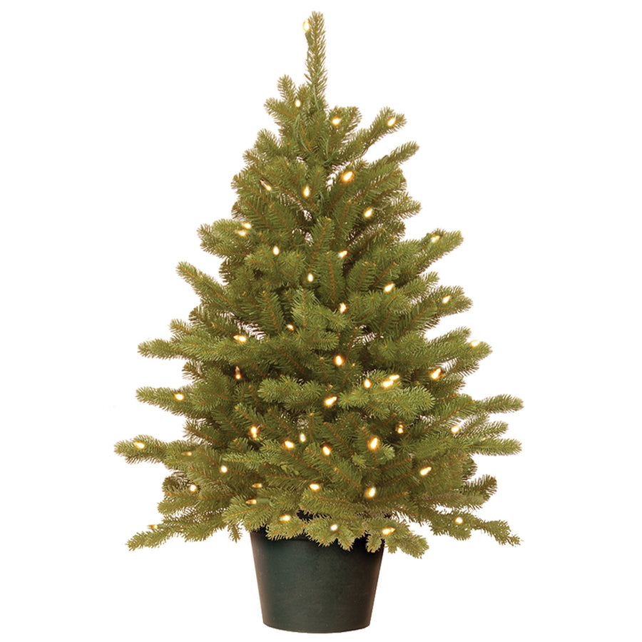 3 ft. Pre-Lit Hampton Spruce Tree with Clear Lights - National Tree Company