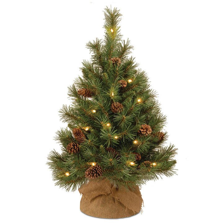 Pre-Lit Artificial Christmas Tree, Green, Pine Cone, White LED Lights, Includes Cloth Bag Base, Battery Operated, 3 Feet
