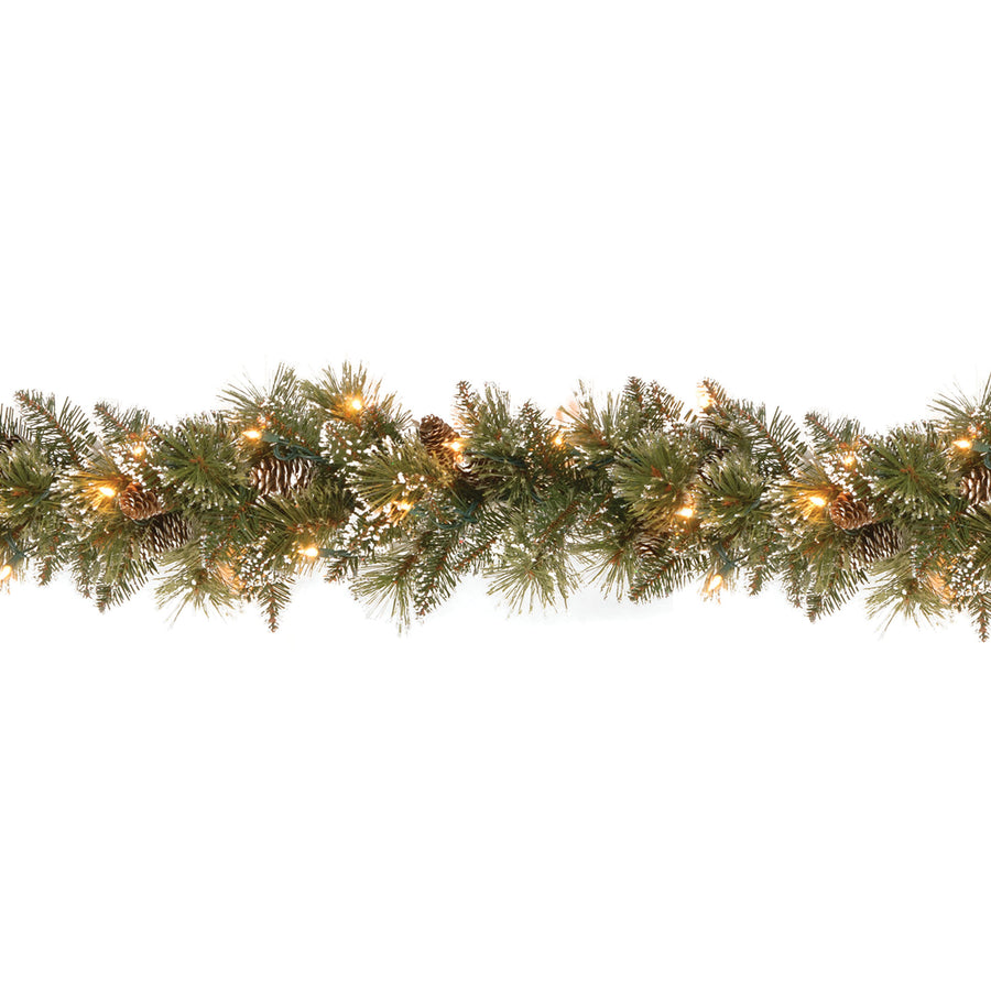 9 ft. Pre-Lit Glittery Bristle Pine Garland with Clear Lights - National Tree Company