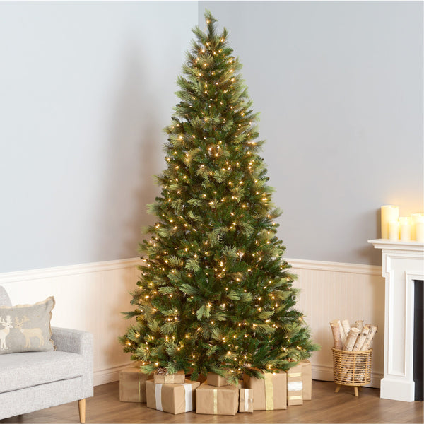 Black Friday Christmas Tree Specials - National Tree Company