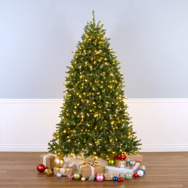 Best Sellers Christmas Trees - National Tree Company