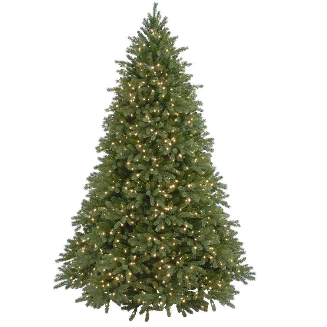 Jersey Frasier Christmas Trees