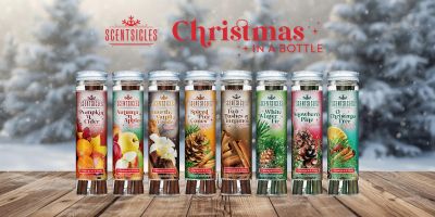 24 in. Bristle Berry Wreath with Single Candle · National Tree Company