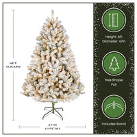 6 ft. Pre-Lit Flocked Acacia Tree with Clear Lights - National Tree Company